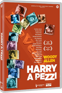 Deconstructing Harry  (1997)